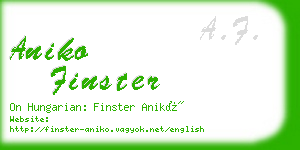 aniko finster business card